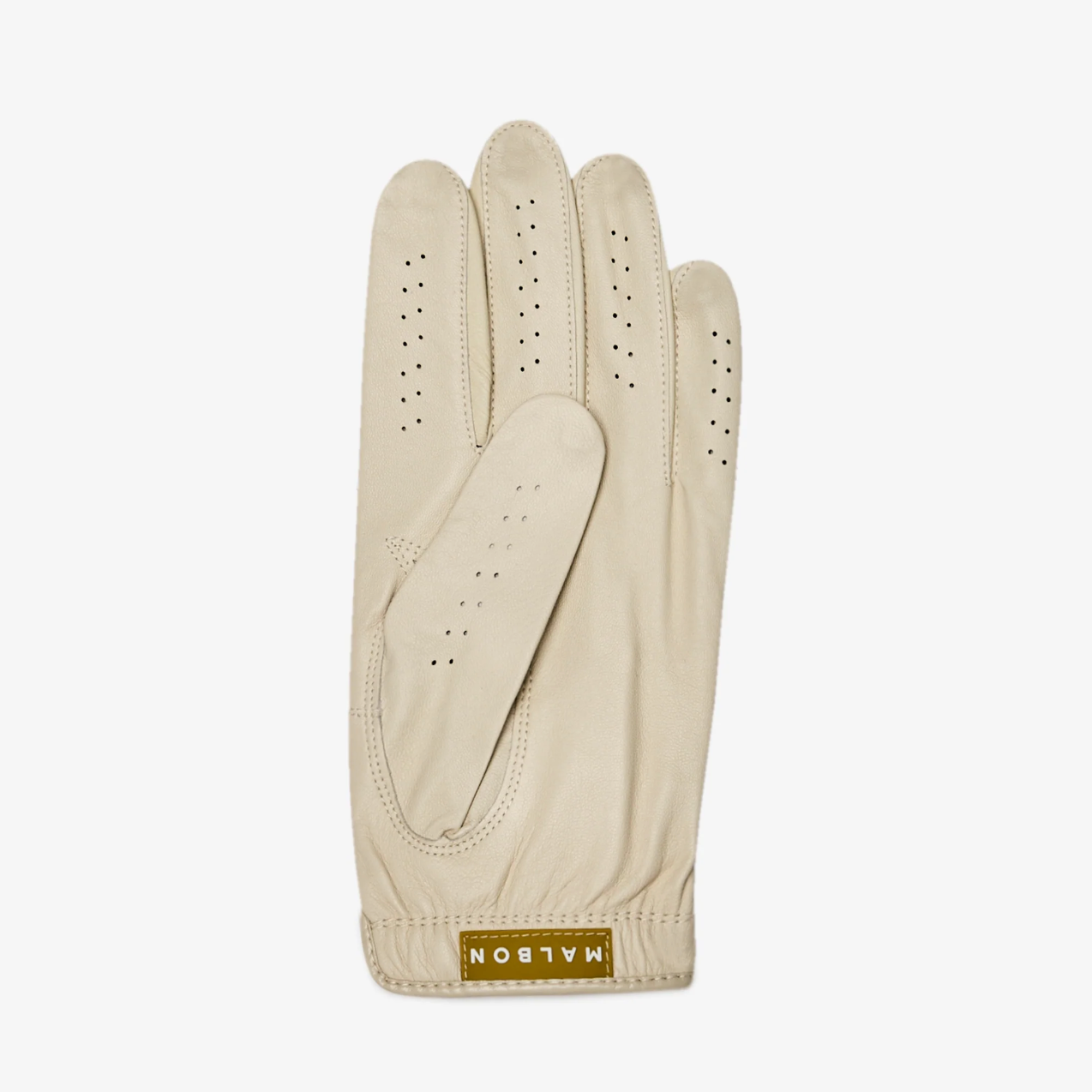 Men Golf Glove