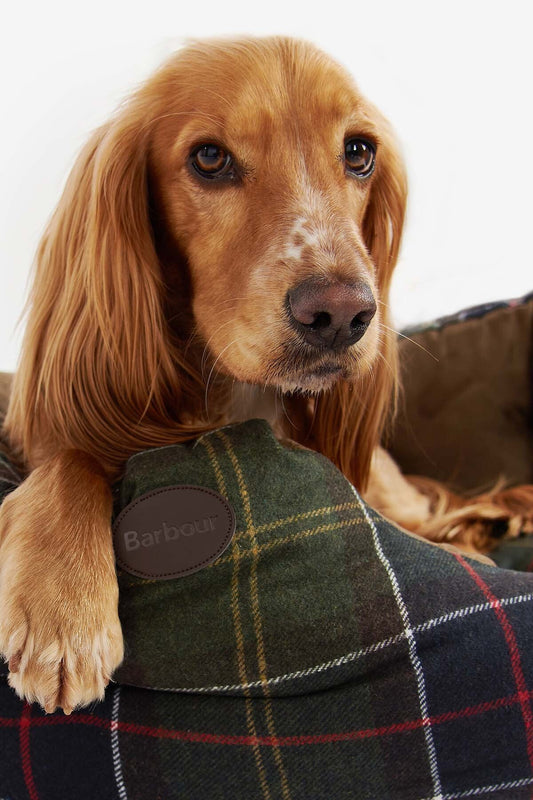 Luxury Dog Bed