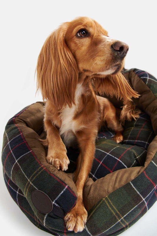 Luxury Dog Bed