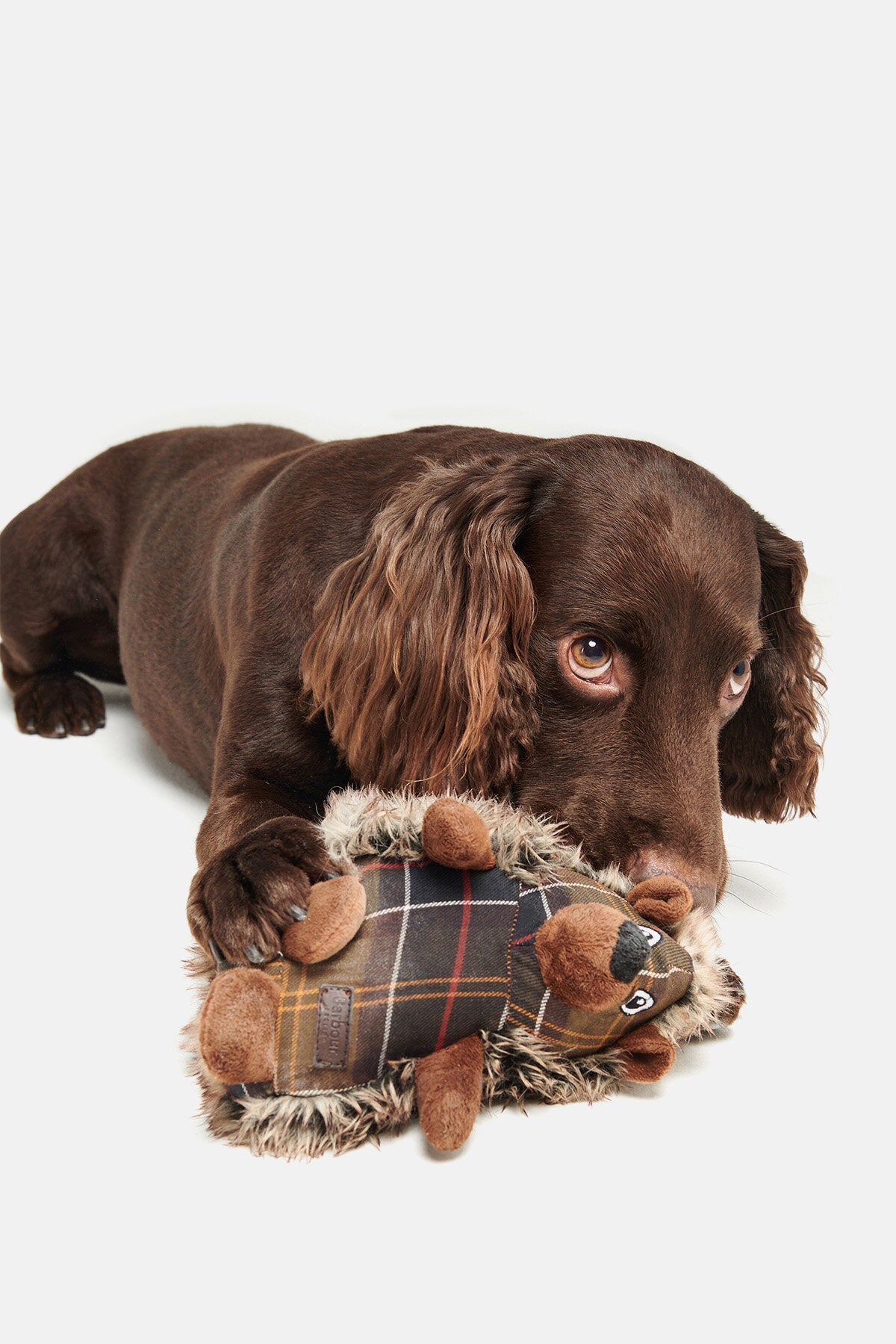 Barbour Dog Hedgehog Toy
