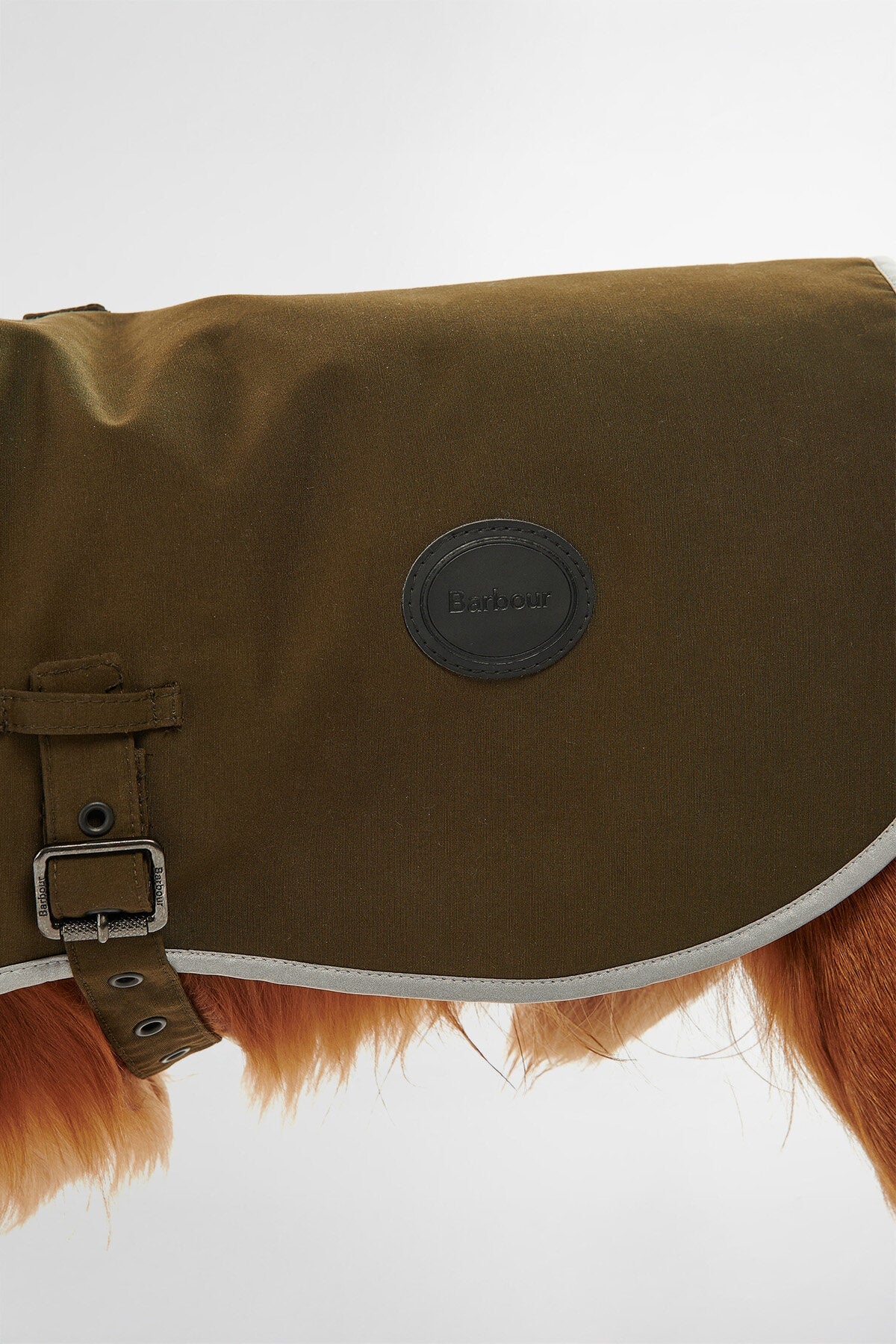 Waterproof Dog Coat