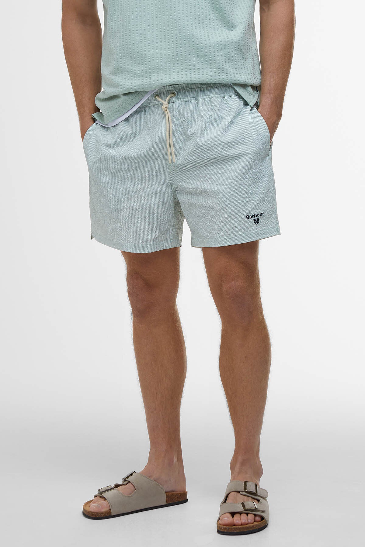 Somerset Pinstripe Swim Shorts