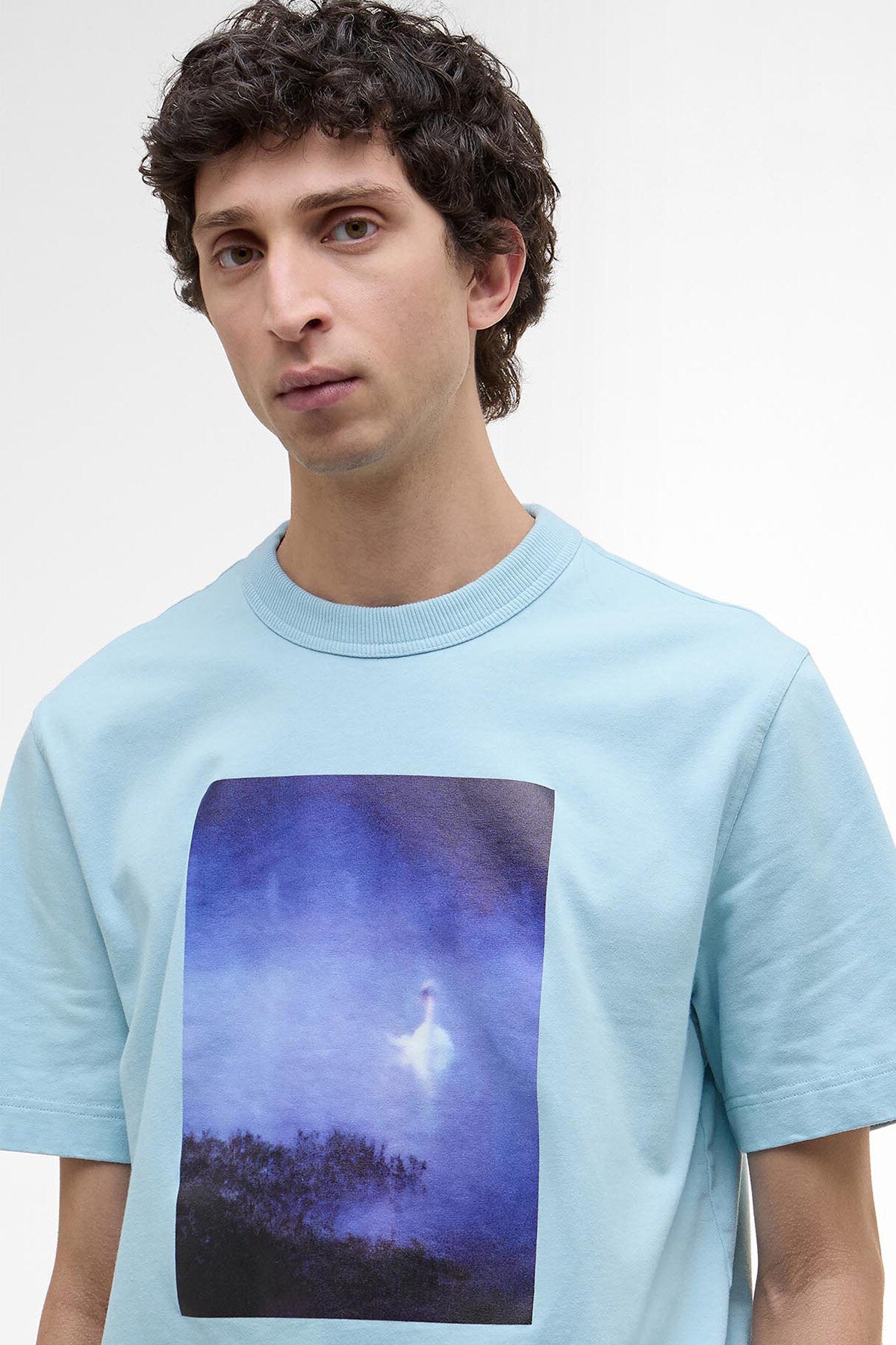 Archive Swan T-Shirt